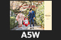 pasta_753_congratulations A5W
