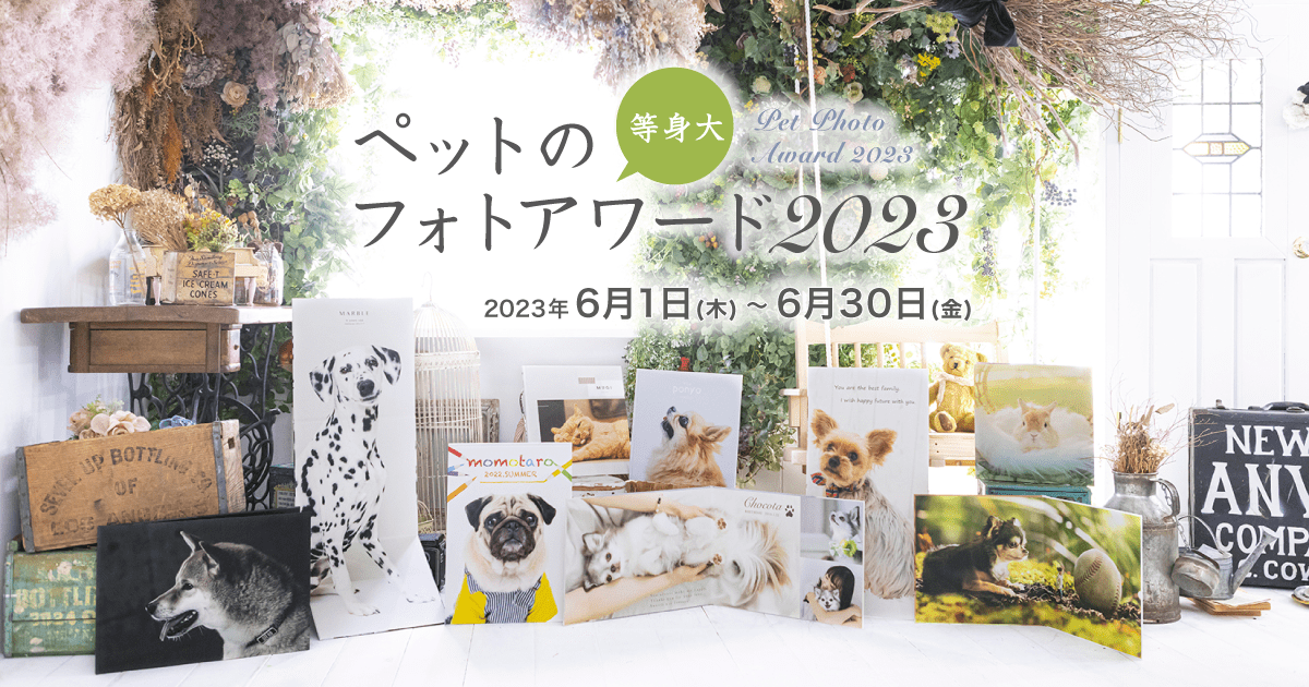 petphoto2023_ogp.png