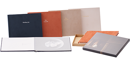 ボードライトSuede