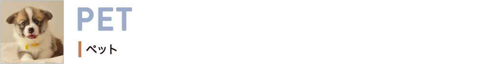ペット